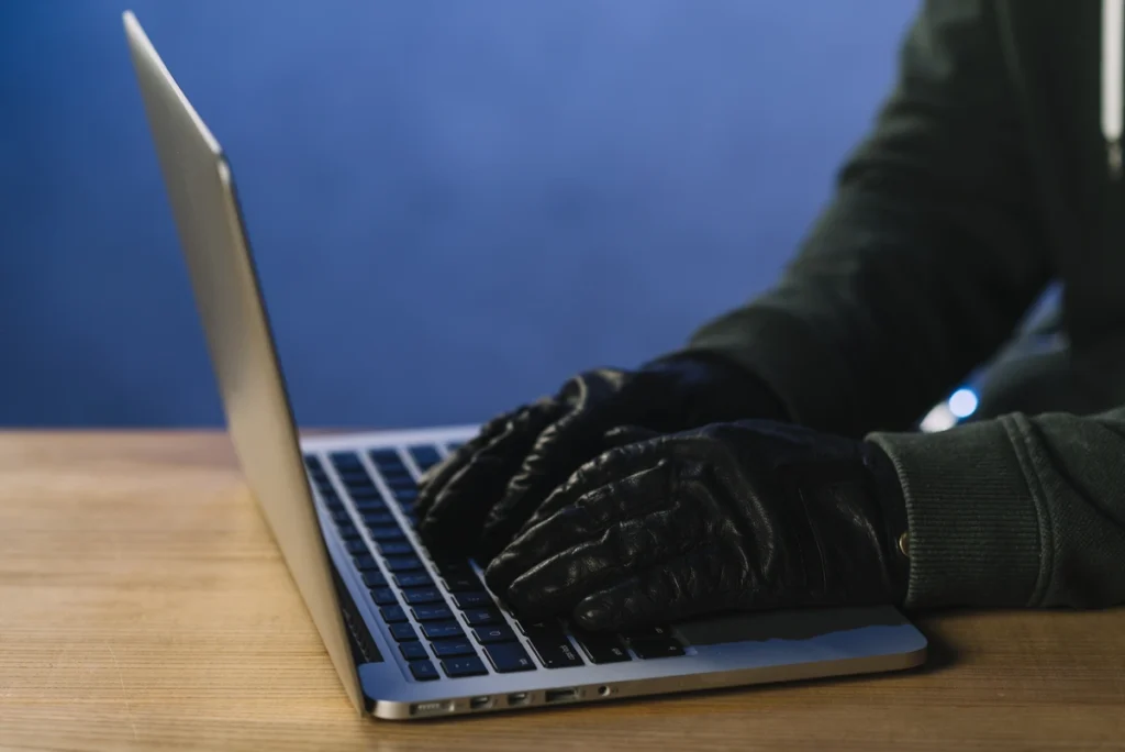 delitos ciberneticos